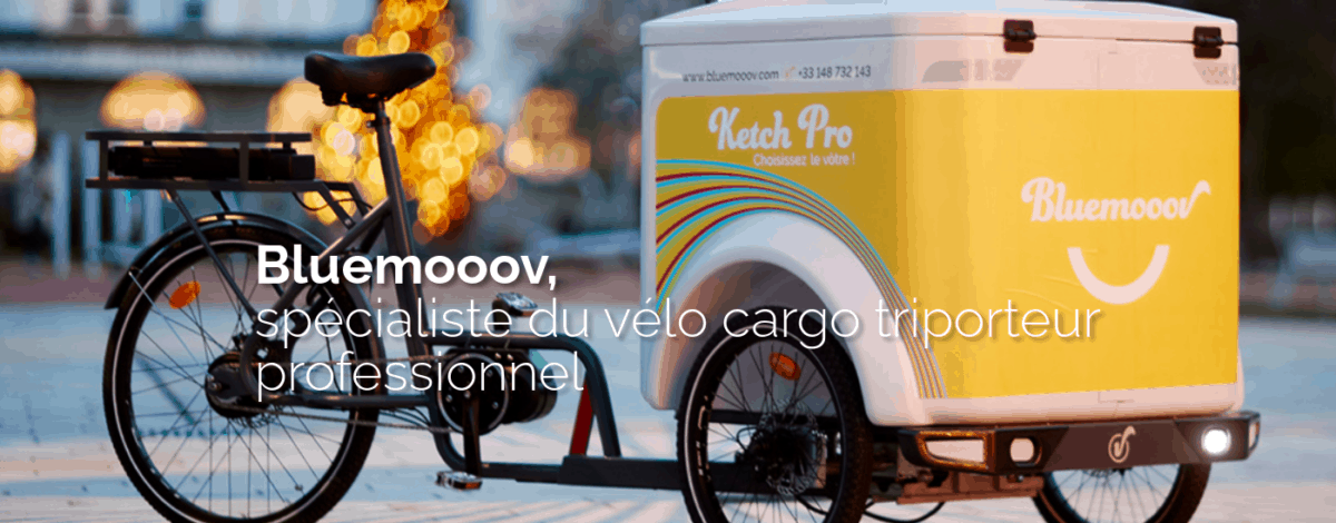 Vélo Cargo Triporteur - Biporteur - Tricycle adulte