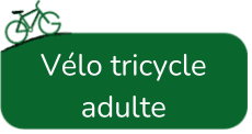 Vente de vélos tricycle adulte